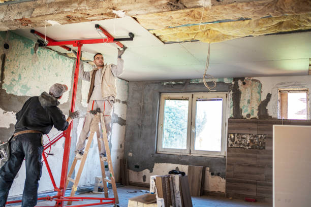 Best Insulation Maintenance and Repair in Springfield, IL